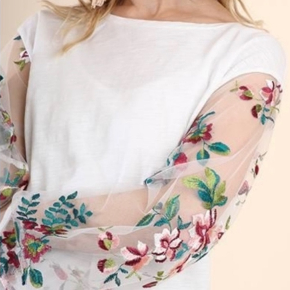 Umgee embroidered sheer puff sleeve top